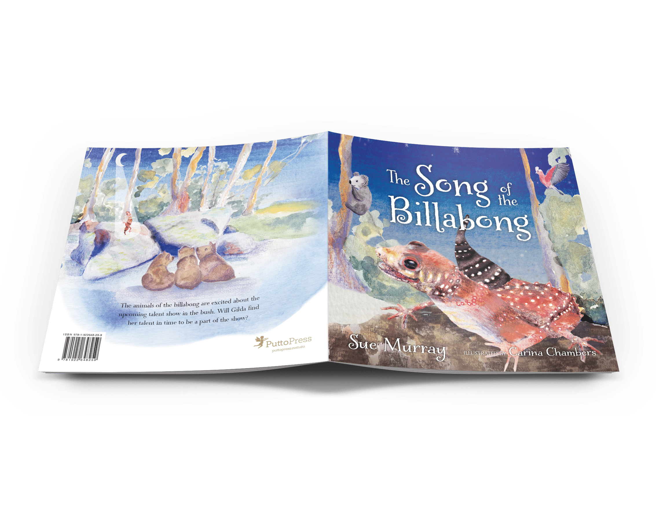 The Song of the Billabong - Image 2
