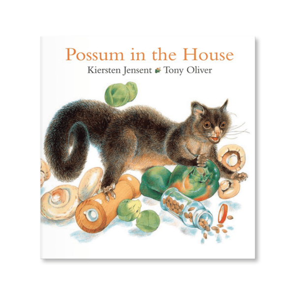 Possum in the House