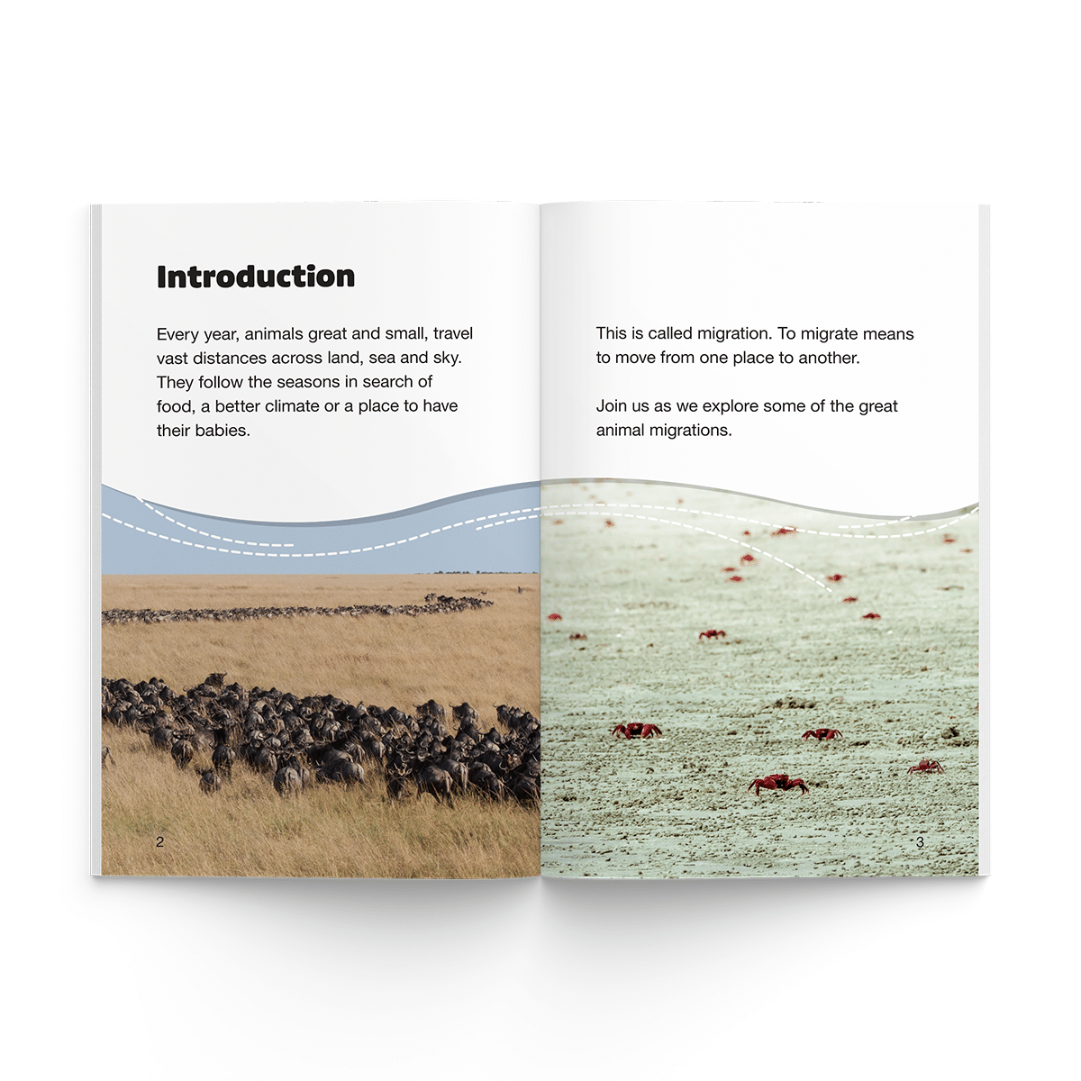 Animal Migrations (Firecracker Books, The Ignite Series) - Image 2