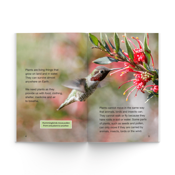 Crazy Plants (Firecracker Books, The Ignite Series) - Image 2