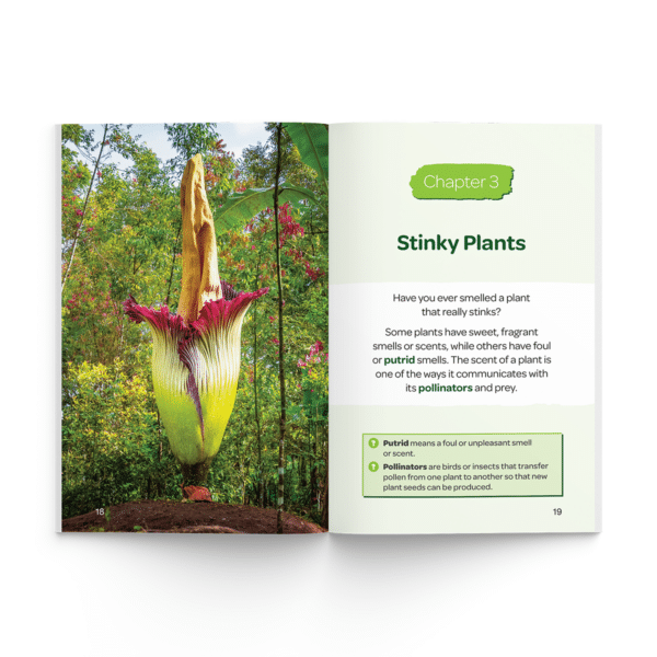 Crazy Plants (Firecracker Books, The Ignite Series) - Image 3