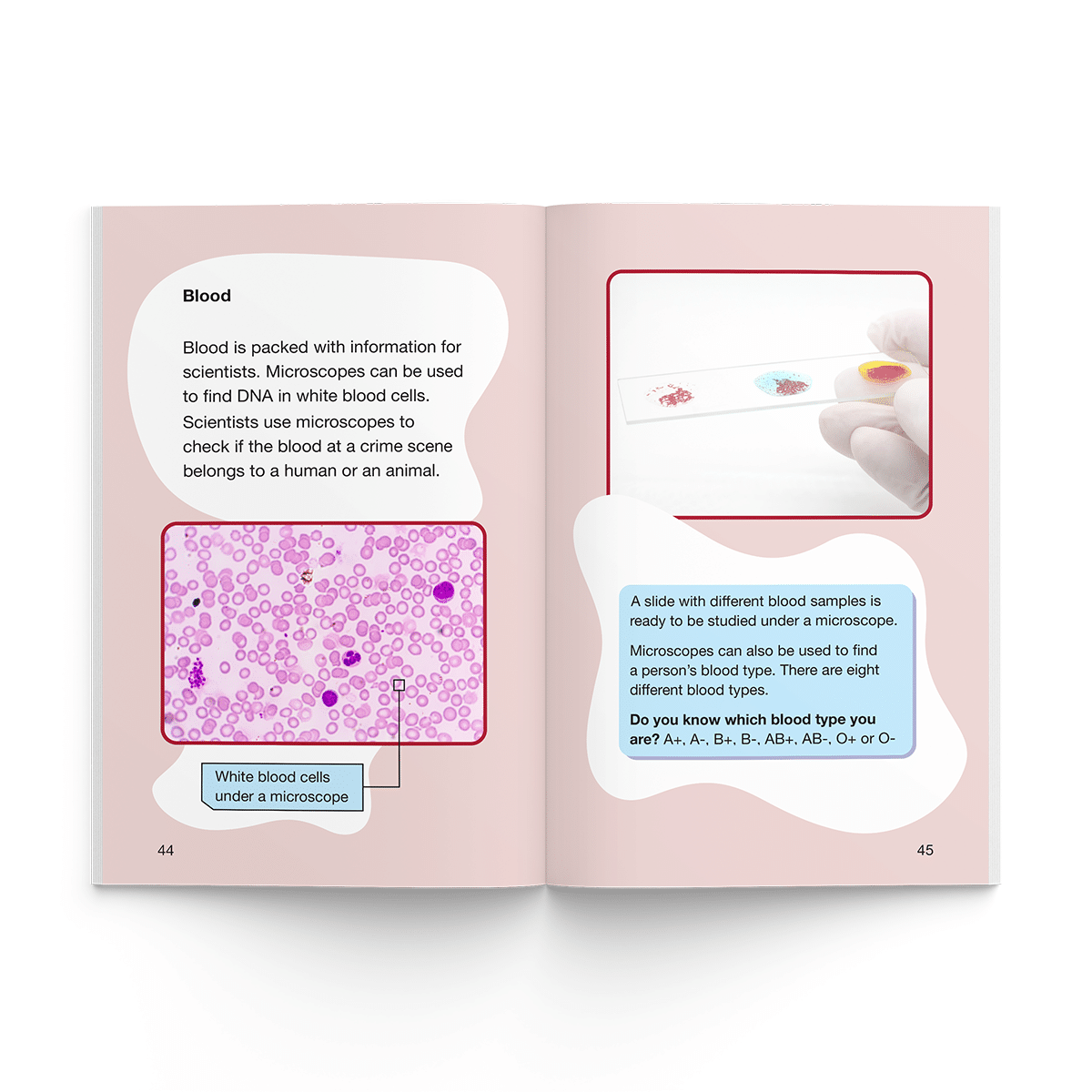 Under the Microscope (Firecracker Books, The Ignite Series) - Image 3